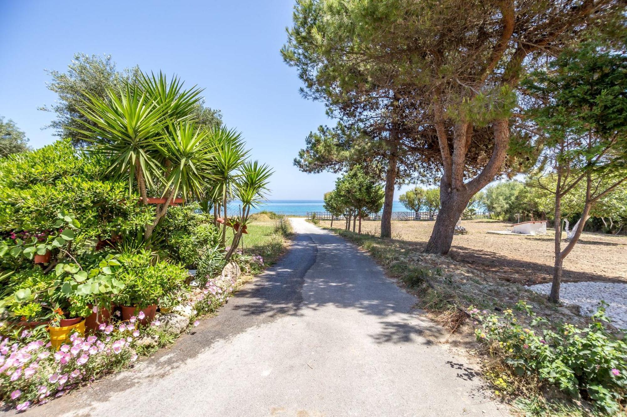 Casa Di Mare - Studios And Apartments On The Beach Vasilikí エクステリア 写真